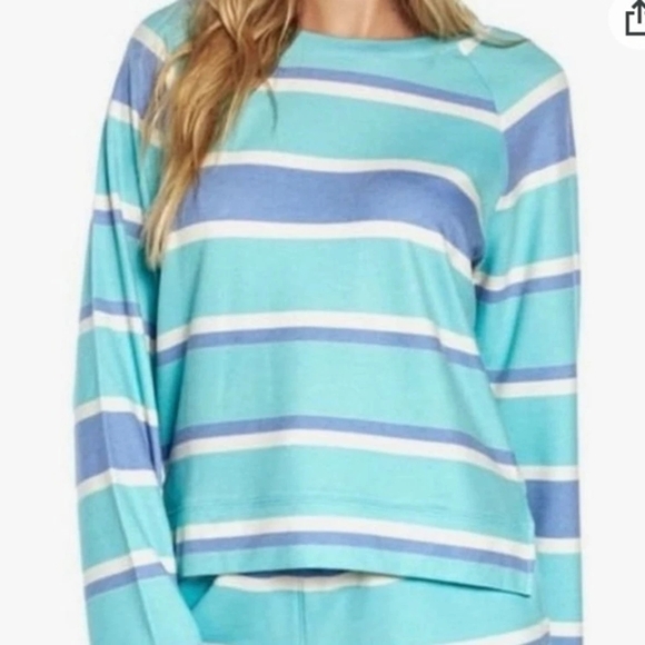 Wildfox Blue and White Striped Oversized Sweatshirt - Picture 5 of 5